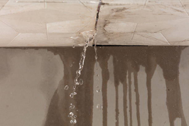 Professional Structural Drying technician working in Lawrence, IN